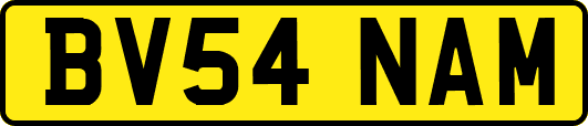 BV54NAM