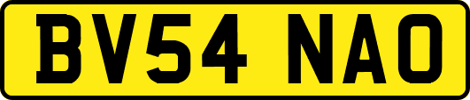 BV54NAO