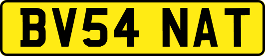 BV54NAT
