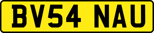 BV54NAU
