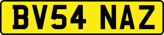 BV54NAZ