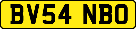BV54NBO
