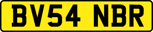 BV54NBR
