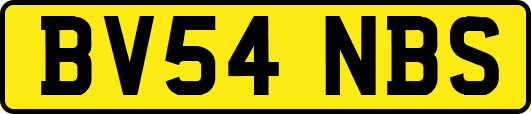 BV54NBS