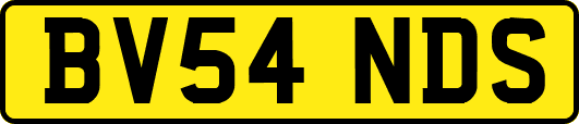 BV54NDS