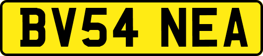 BV54NEA