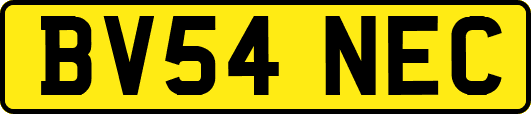 BV54NEC