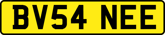 BV54NEE