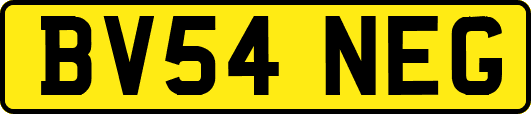 BV54NEG
