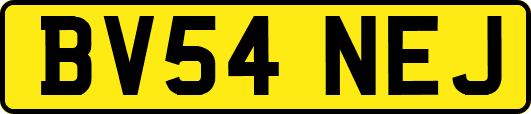 BV54NEJ