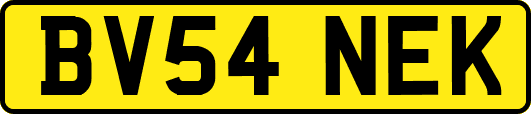 BV54NEK