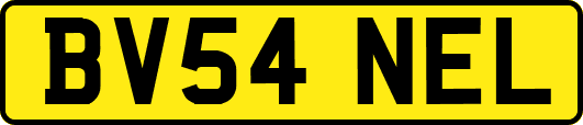 BV54NEL