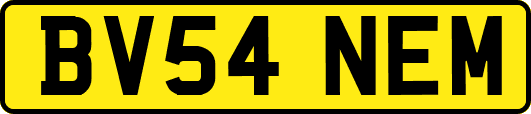 BV54NEM