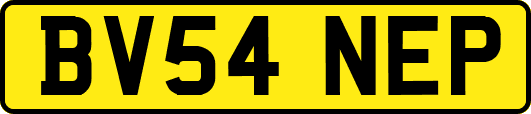 BV54NEP