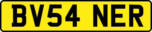 BV54NER
