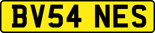 BV54NES