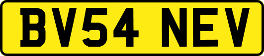 BV54NEV