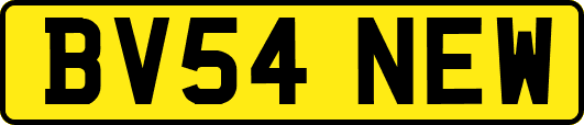 BV54NEW
