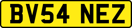 BV54NEZ