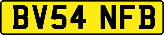 BV54NFB
