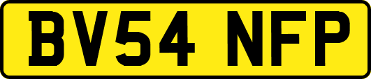 BV54NFP