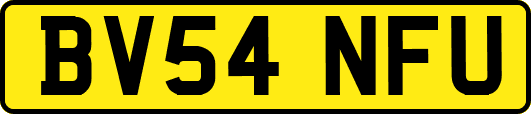 BV54NFU