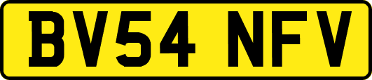 BV54NFV