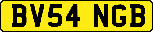 BV54NGB