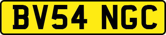 BV54NGC