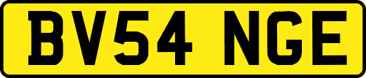 BV54NGE