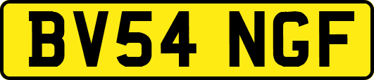 BV54NGF