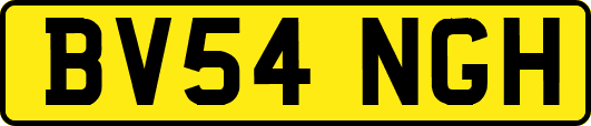 BV54NGH