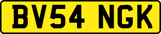 BV54NGK