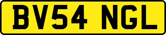 BV54NGL