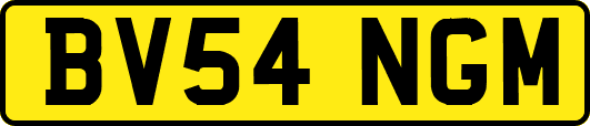 BV54NGM