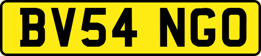 BV54NGO