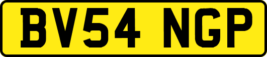 BV54NGP