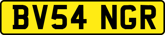 BV54NGR