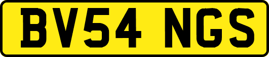 BV54NGS