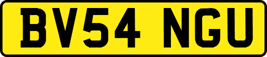 BV54NGU
