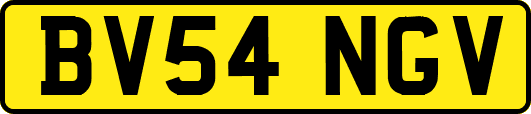 BV54NGV