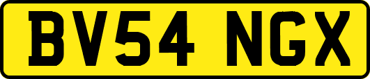 BV54NGX