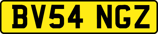 BV54NGZ