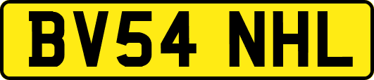 BV54NHL