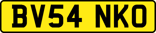 BV54NKO
