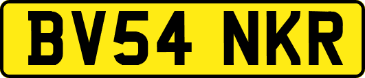 BV54NKR