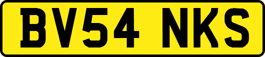 BV54NKS