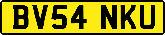 BV54NKU