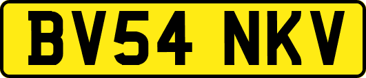 BV54NKV