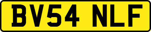 BV54NLF